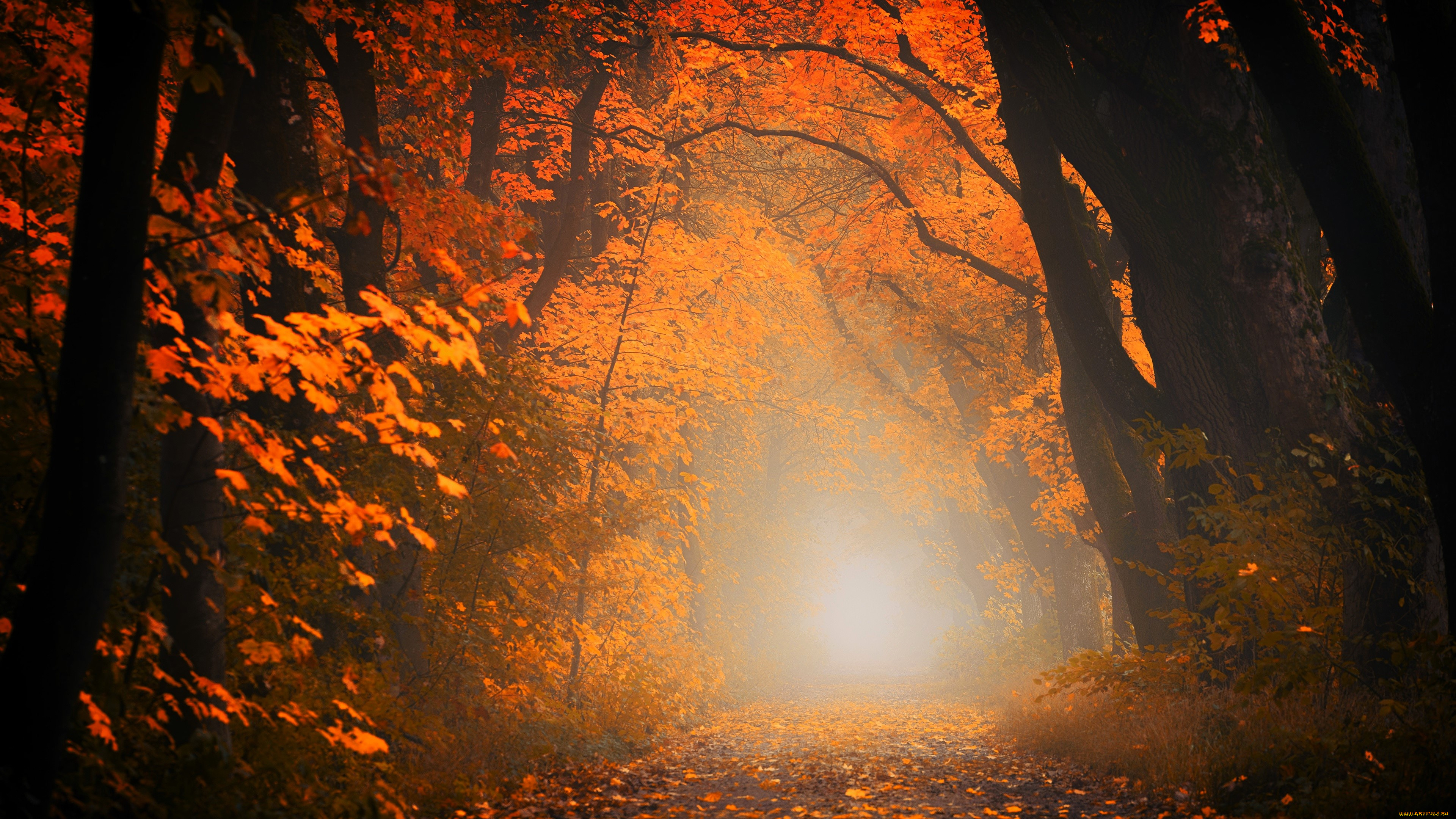 �������, ���, �������, �����, ������, ����